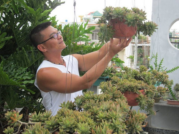 [-]Trồng[-]xương[-]rồng:[-]Nghề[-]chơi[-]lắm[-]công[-]phu